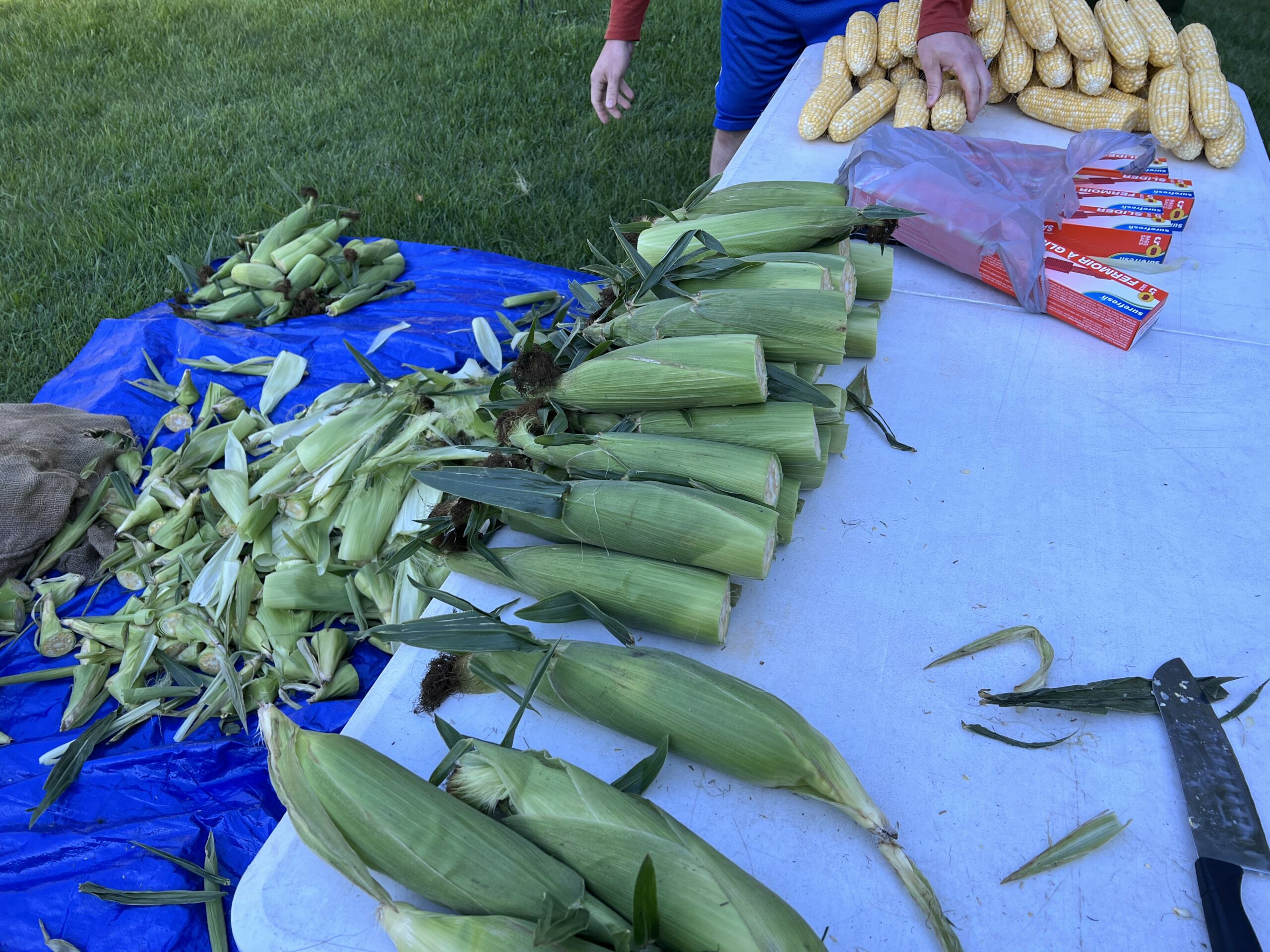 Taking Our Corn Feed Local - Intelligent Ag Solutions